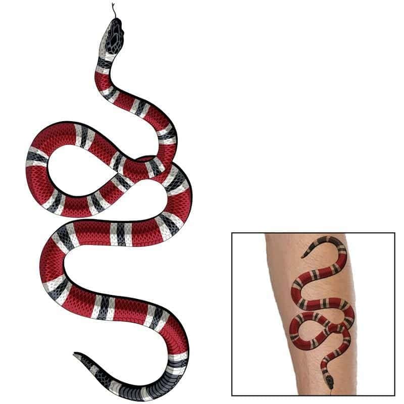 Orm Tatuering Skarlagensröd Kung (Temporär)