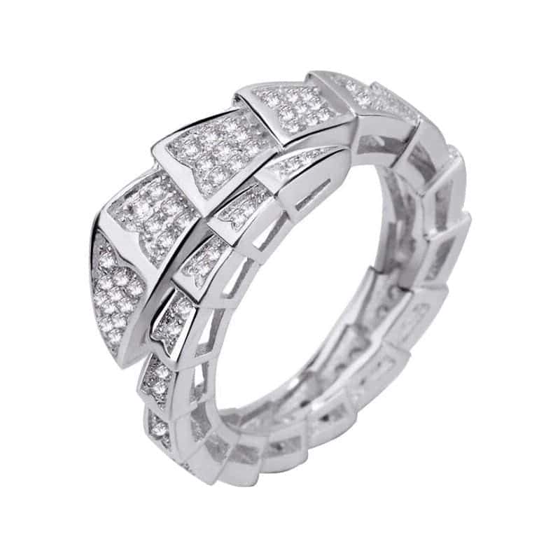 Ormring Framtid (Zirkonium)
