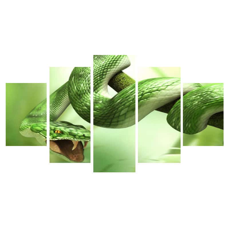 Orm Tavla Grön Skallerorm