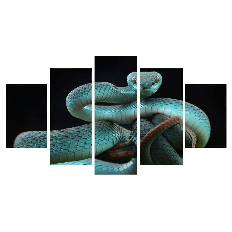 Orm Tavla Blå Vipera