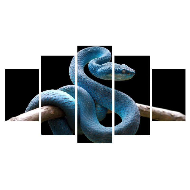 Orm Tavla Blå Viper